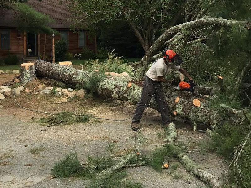 storm-cleanup-eastham-orleans-wellfleet-cape-cod