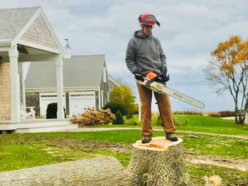 stump-grinding-eastham-cape-cod