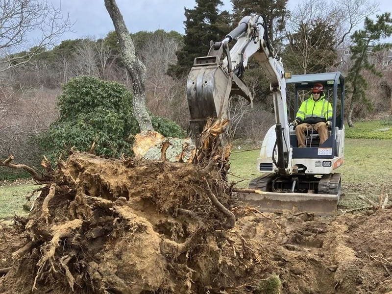 stump-removal-eastham-cape-cod