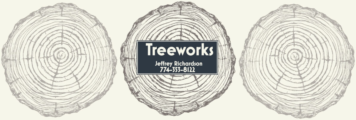 tree-removal-cape-cod-stumps-branches-treeworks-eastham
