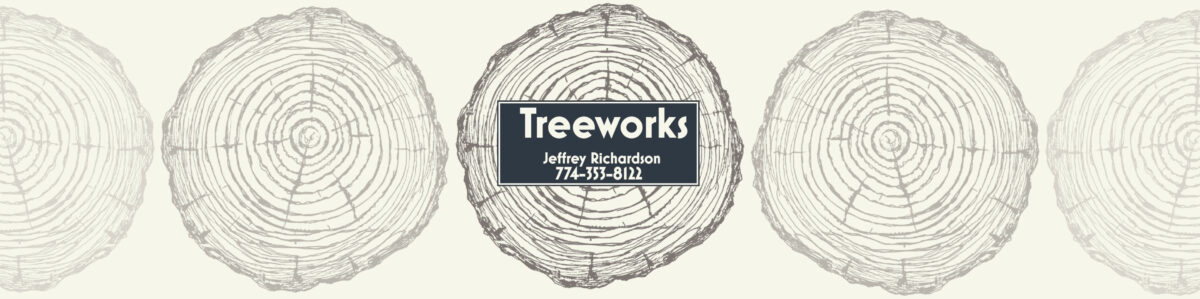 tree-removal-cape-cod-stumps-branches-treeworks-eastham-wide